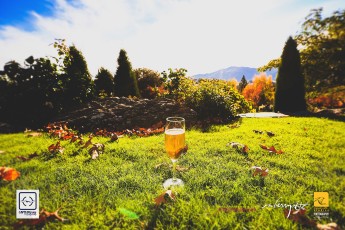 20150502-roberryarts-Adventures.To_.New_.Zealand-Queenstown.2015-Day07-Celebrating.JeremyFoo..CaiLi_.Roberts.Cam-Pic-0020