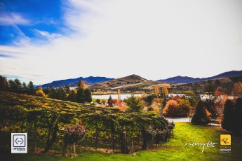 20150502-roberryarts-Adventures.To_.New_.Zealand-Queenstown.2015-Day07-Celebrating.JeremyFoo..CaiLi_.Roberts.Cam-Pic-0040