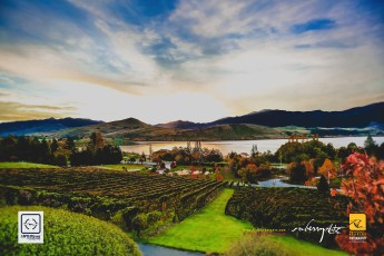 20150502-roberryarts-Adventures.To_.New_.Zealand-Queenstown.2015-Day07-Celebrating.JeremyFoo..CaiLi_.Roberts.Cam-Pic-0074