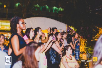 20150829-robertchai-Singapore.Night_.Festival.2015.Roberts.Cam-Pic-0004