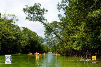 20170319-robertchai-SMUX.Kayaking-Kayak..Klean_.@.Pasir_.Ris_.Mar_.2017.Roberts.Cam-Pic-0036