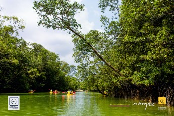 20170319-robertchai-SMUX.Kayaking-Kayak..Klean_.@.Pasir_.Ris_.Mar_.2017.Roberts.Cam-Pic-0037