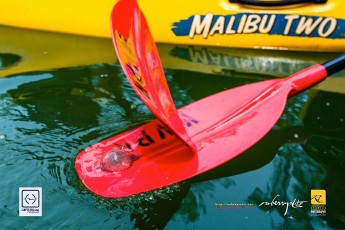 20170319-robertchai-SMUX.Kayaking-Kayak..Klean_.@.Pasir_.Ris_.Mar_.2017.Roberts.Cam-Pic-0040