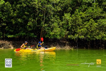 20170319-robertchai-SMUX.Kayaking-Kayak..Klean_.@.Pasir_.Ris_.Mar_.2017.Roberts.Cam-Pic-0042