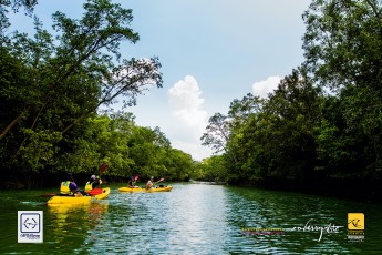 20170319-robertchai-SMUX.Kayaking-Kayak..Klean_.@.Pasir_.Ris_.Mar_.2017.Roberts.Cam-Pic-0047