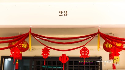 20190205-robertchai-CNY.Malaysia.Celebrations.With_.The_.TAN_.Family.Side_.2019.Roberts.Cam-Pic-0002